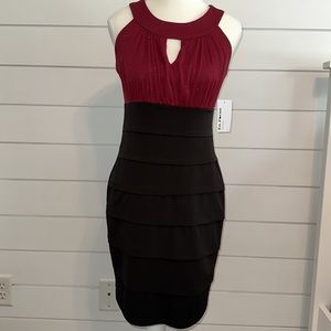 Enfocus Petite Sparkly Bodycon Dress
